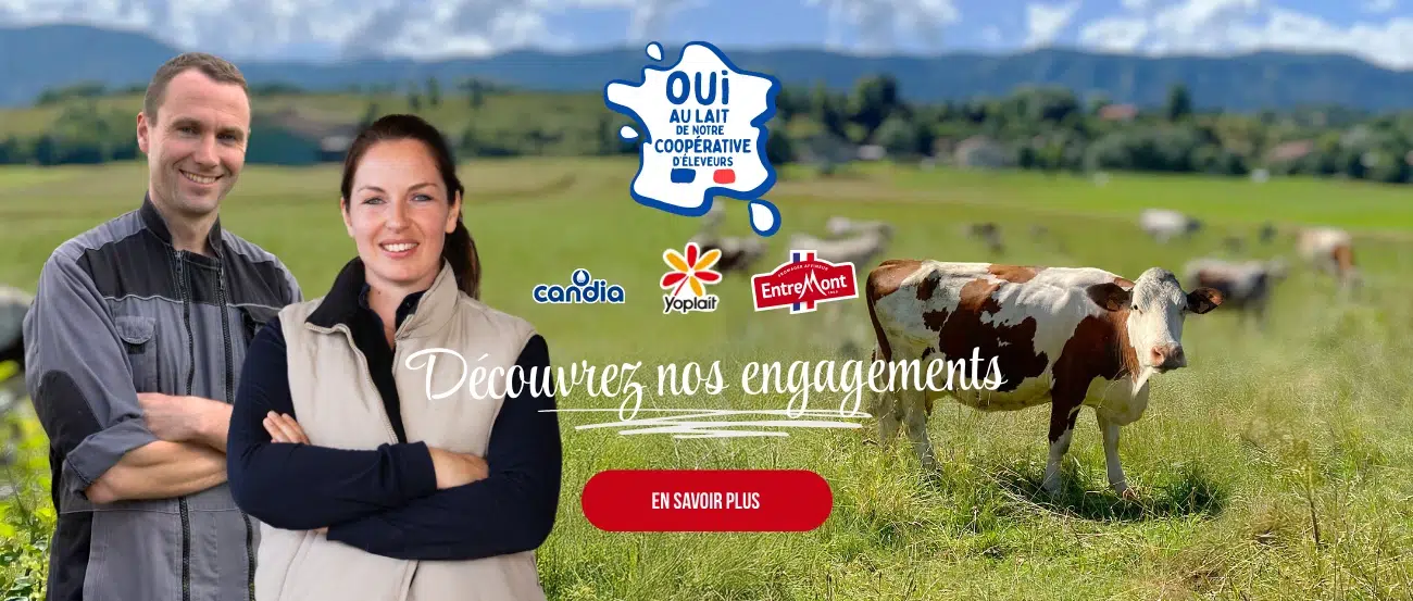 Entremont SliderDesk OLC 0226